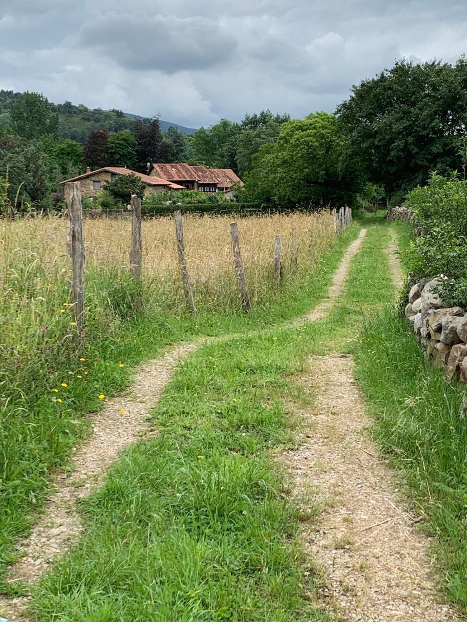 Remanso Del Rio Saja Villa Renedo De Cabuerniga Bagian luar foto