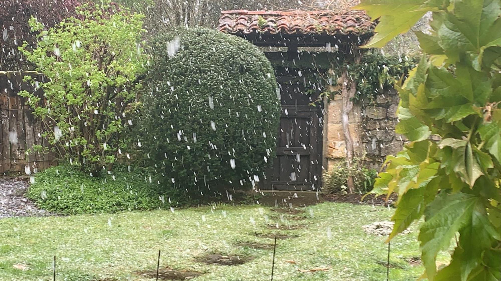 Remanso Del Rio Saja Villa Renedo De Cabuerniga Bagian luar foto