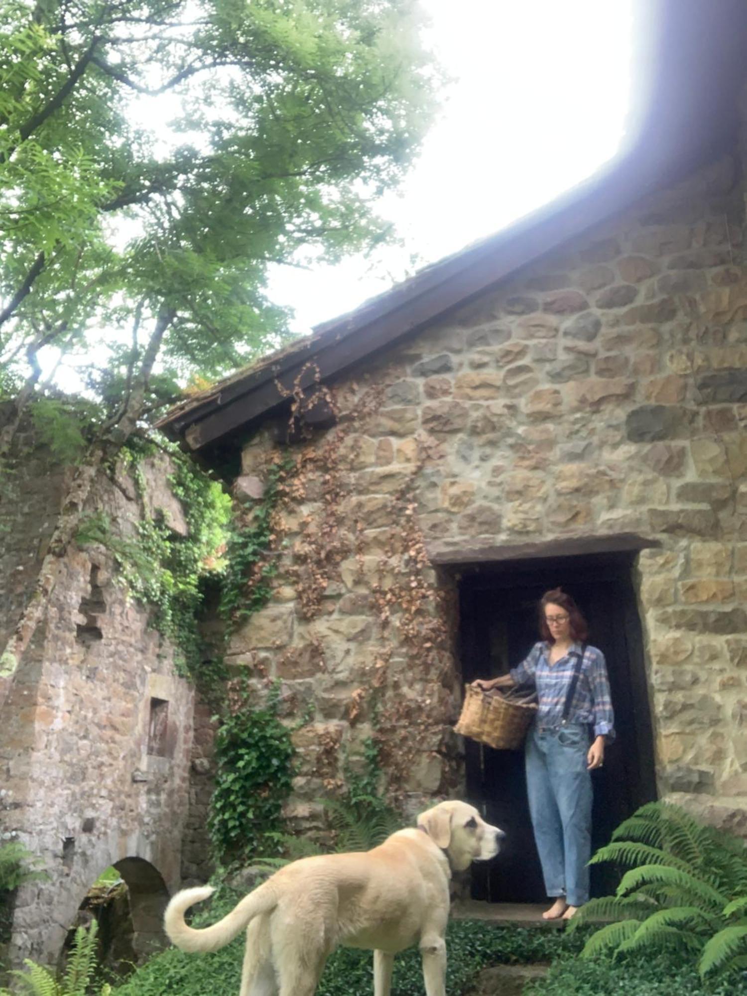 Remanso Del Rio Saja Villa Renedo De Cabuerniga Bagian luar foto