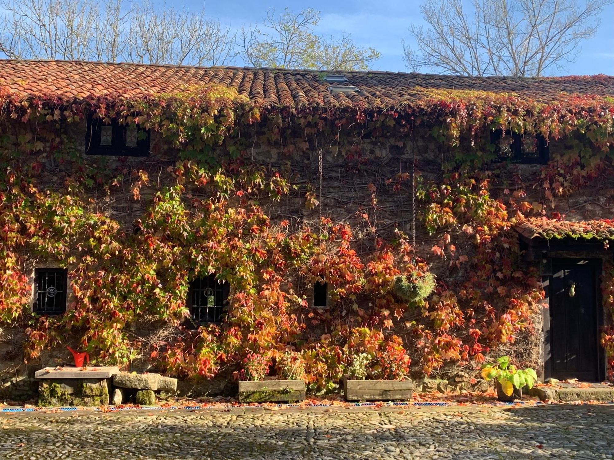 Remanso Del Rio Saja Villa Renedo De Cabuerniga Bagian luar foto